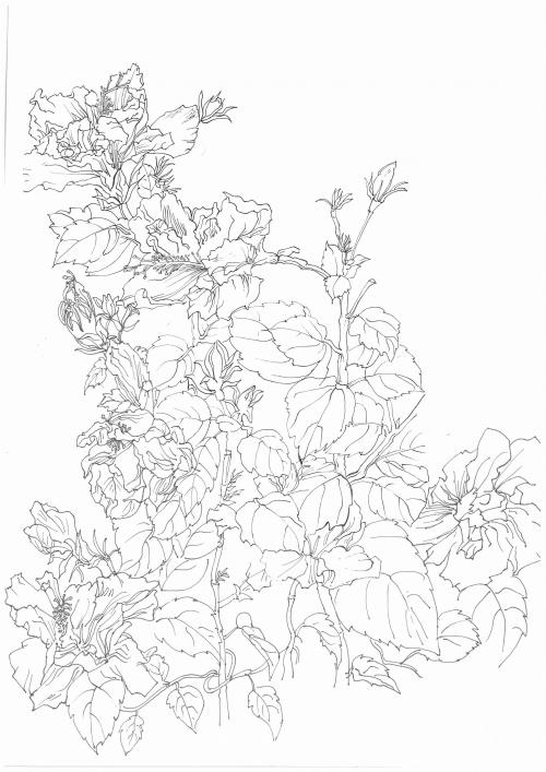 爱达荷州驾驶执照怎么制作